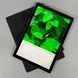 Ноутбук Microsoft Surface Pro 5 Touch 12.3" 2K+ i5-7300U/8 RAM/256 SSD а-1556 фото 3